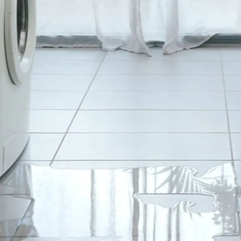 Appliance Leak Cleanup in Summit, WA