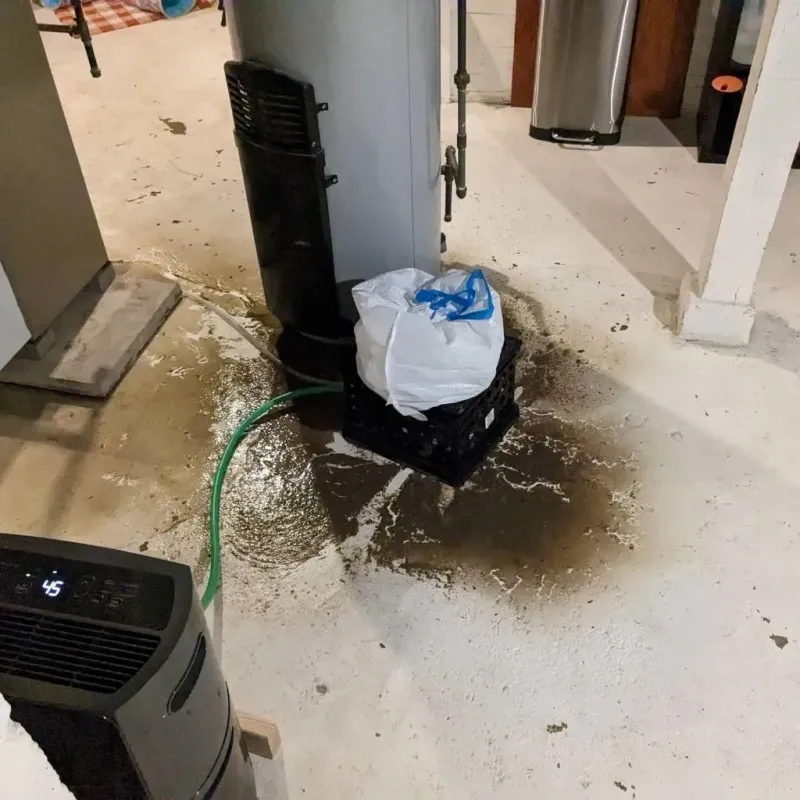 Sewage Backup Cleanup Service in Summit, WA